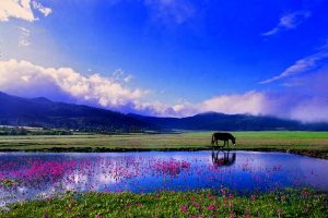 Lashihai Lake in Lijiang