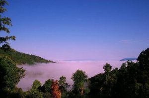 Nannuo Tea Mountain in Menghai County, XishuangBanna