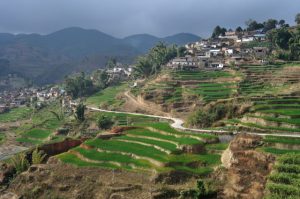 Photos Gallery of Nanuo Rice Terraces in Yuanjiang County, Yuxi