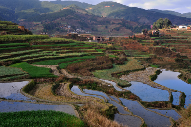 Photos Gallery of Nanuo Rice Terraces in Yuanjiang County, Yuxi