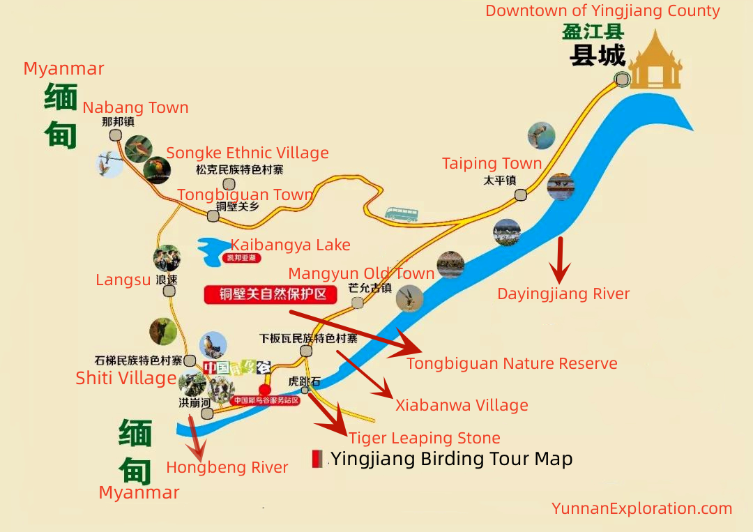 Yingjiang Birding Tour Map