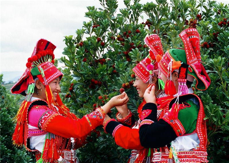 The Red Bayberry Festival in Shiping County, Honghe