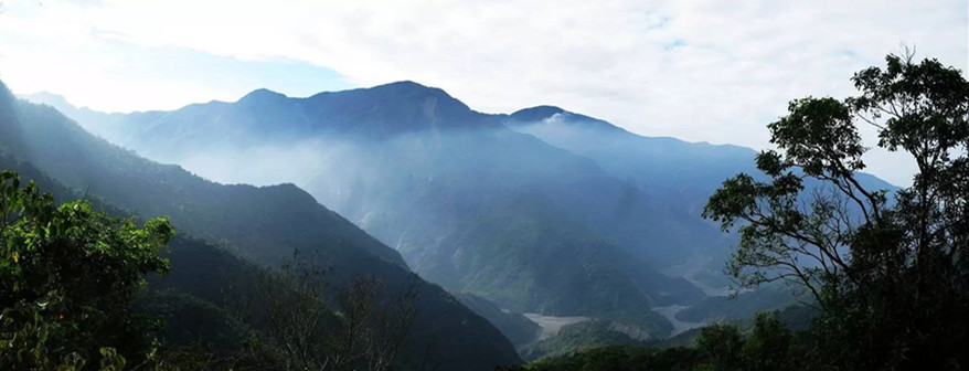 Guafengzhai Tea Plantation of Yiwu Mountain, XishuangBanna