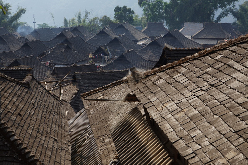 Laobanzhang Village and Laobanzhang Puer Tea Plantation in Menghai County, XishuangBanna