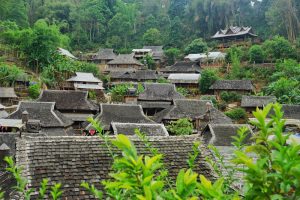 Jingmai Ancient Tea Mountain in Lancang County, Puer