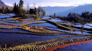 Ailao Rice Terraces in Yuanjiang County, Yuxi