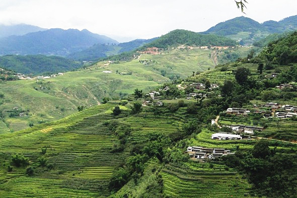 Ailaoshan Mountain in Jingdong County, Puer