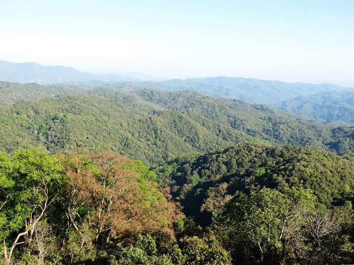 Caiyanghe National Forest Park in Puer