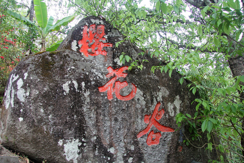 Cherry Blossom Valley Scenic Area in Tengchong County, Baoshan
