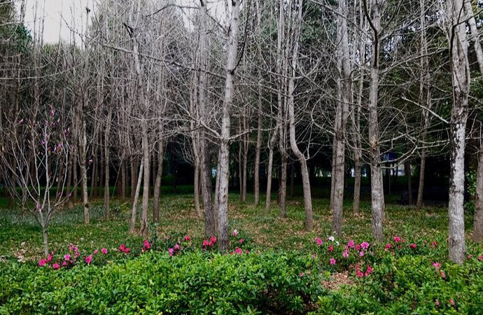 Gaoligong Mountain Botanical Garden in Tengchong County, Baoshan