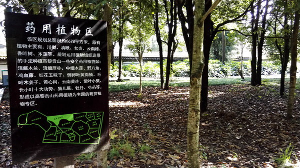 Gaoligong Mountain Botanical Garden in Tengchong County, Baoshan