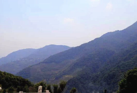 Jiashan Village of Xibanshan Tea Mountain in Mengku Town, Lincang