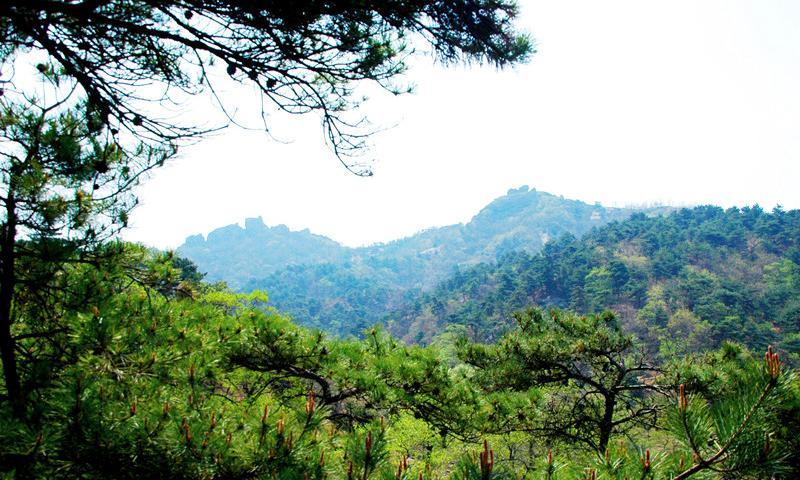 Jiguanshan Forest Park in Xichou County, Wenshan