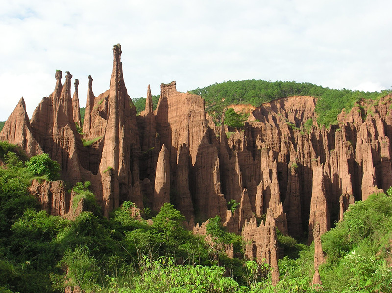 Jingdong Earth Forest, Puer