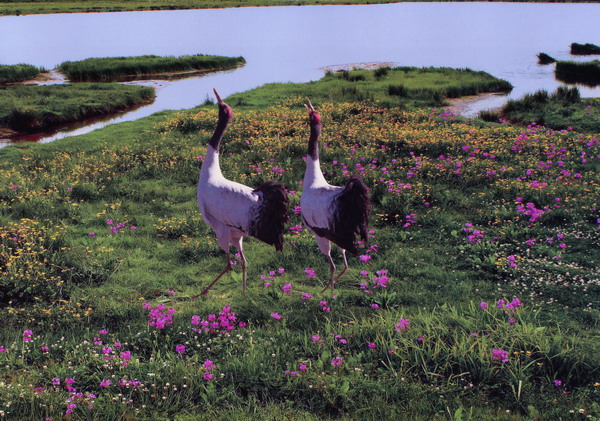 Maolin Wetland in Yongshan County, Zhaotong