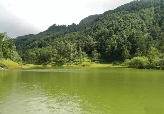 Mocang Forest Park in Shidian County, Baoshan