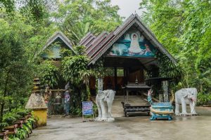 Moli Tropical Rainforest in Ruili City, Dehong