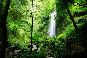 Moli Waterfall in Ruili City, Dehong
