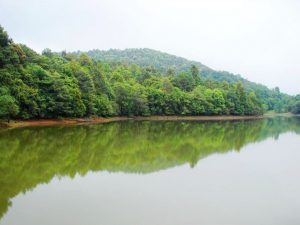 Mopanshan National Forest Park in Xinping County, Yuxi