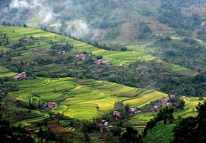 Rice Terraces in Suijiang County, Zhaotong