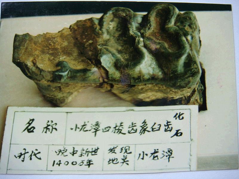 Site of Lufeng Ramapithecus Fossils, Chuxiong