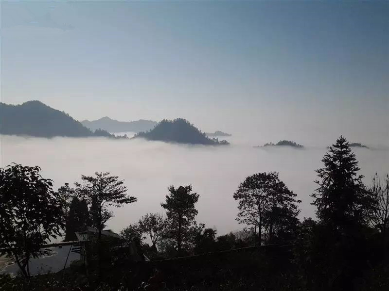 Tianxing Forest Park in Weixin County, Zhaotong