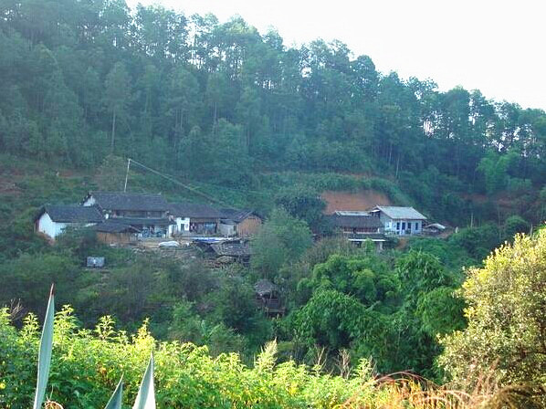 Zhengqitang Village of Dongbanshan Mountain in Mengku Town, Lincang