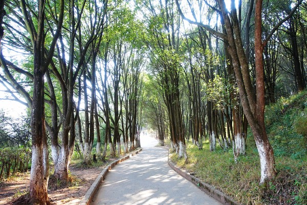 Elu Park in Chuxiong City