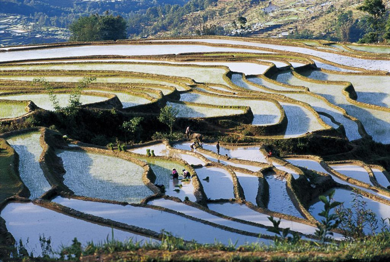 Amengkong Rice Terraces in Yuanyang County, Honghe