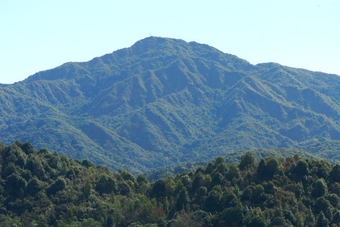 Amushan Mountain Nature Reserve in Honghe County, Honghe