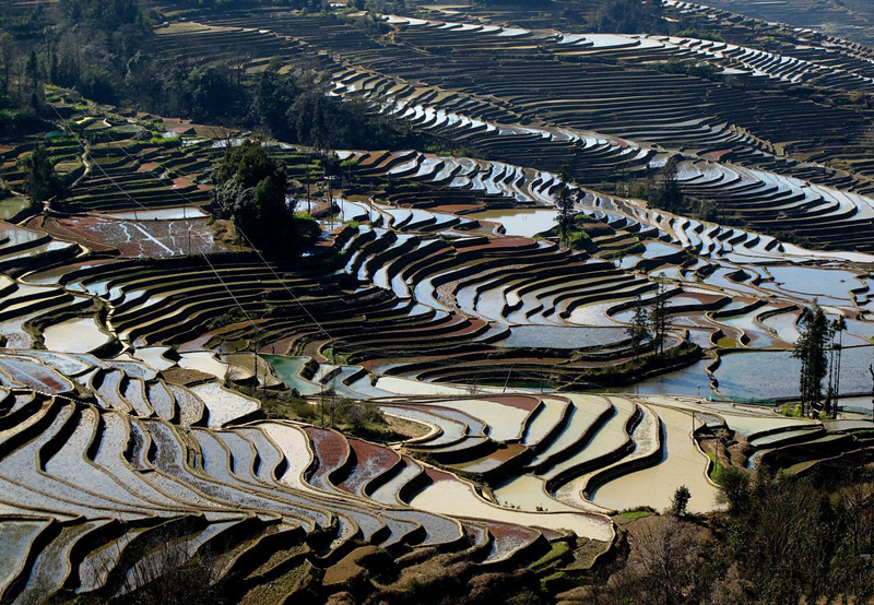Asa Rice Terraces in Honghe County