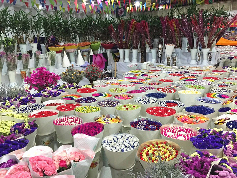 Bailong Flowers and Birds Market in Kunming