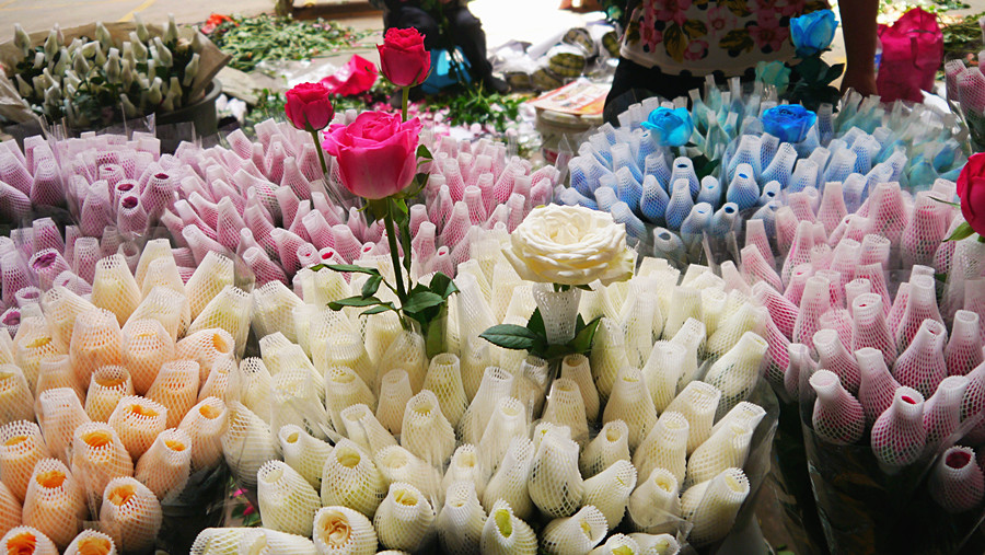 Bailong Flowers and Birds Market in Kunming-03