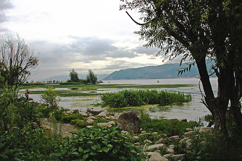 Caicun Wetland Park of Erhai Lake in Dali