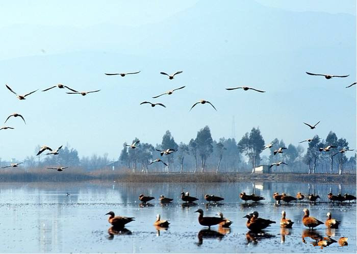 Caohai Wetland Park in Heqing County, Dali