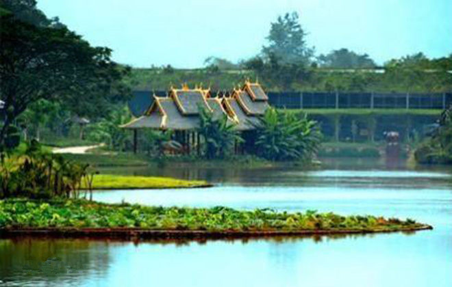 Cuipingfeng Tropical Forest Park in Jinghong City, XishuangBanna