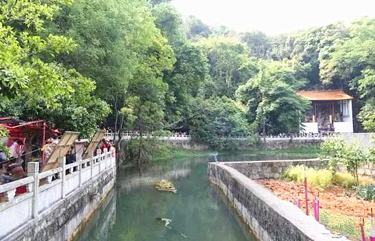 Dashu Dragon Pool in Mile City, Honghe