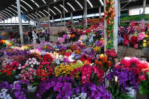 Dounan Flowers Market in Kunming