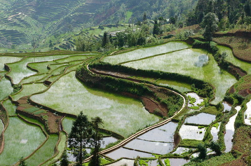 Edie Reservior Rice Terraces in Honghe County, Honghe