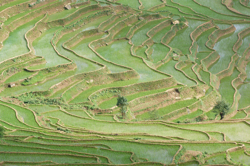 Edie Reservior Rice Terraces in Honghe County, Honghe