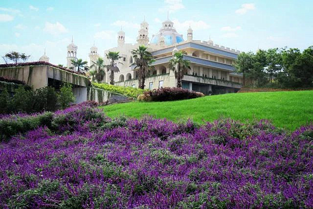 Fenglongwan Lavender Manor in Xundian County, Kunming-04