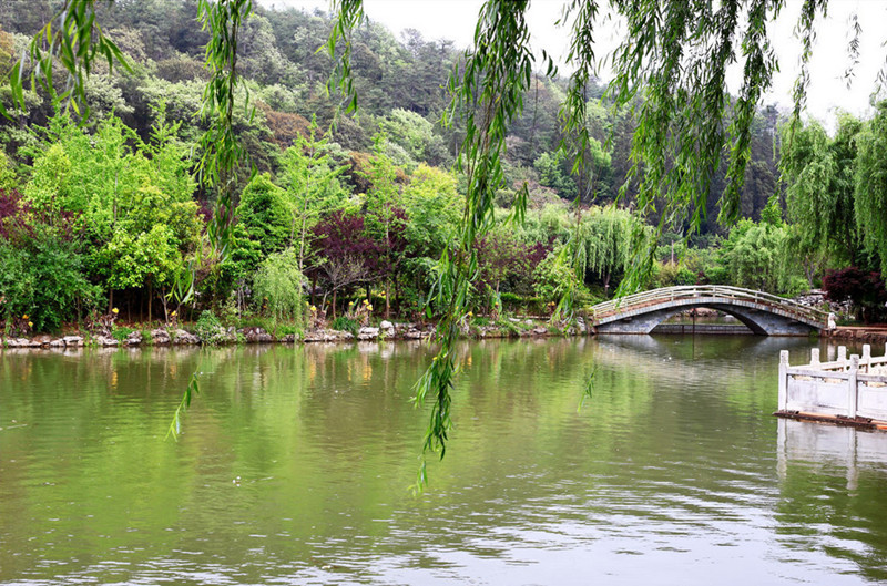 Fengzeyuan Botanical Garden in Songming County, Kunming-02