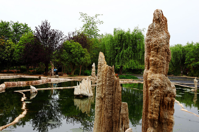 Fengzeyuan Botanical Garden in Songming County, Kunming-05