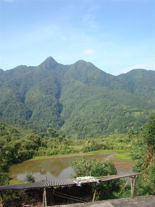 Guanyin Mountain Nature Reserve in Yuanyang County, Honghe