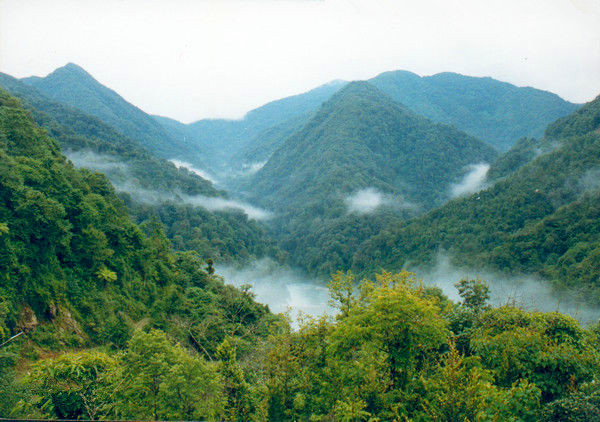 Huanglianshan National Nature Reserve in Luchun County, Honghe