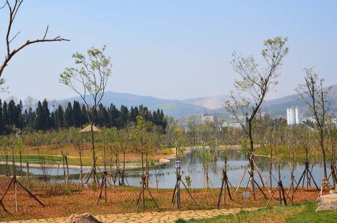 Huilong Wetland Park in Shilin County, Kunming-03
