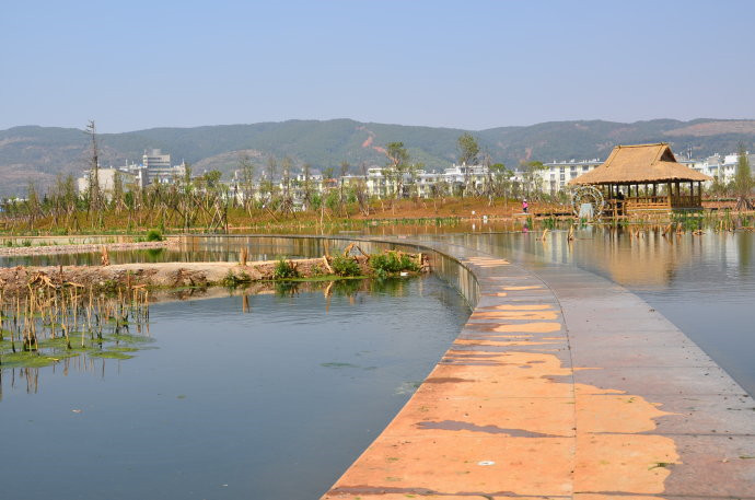 Huilong Wetland Park in Shilin County, Kunming-04