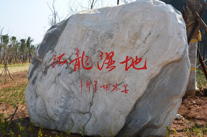Huilong Wetland Park in Shilin County, Kunming-05