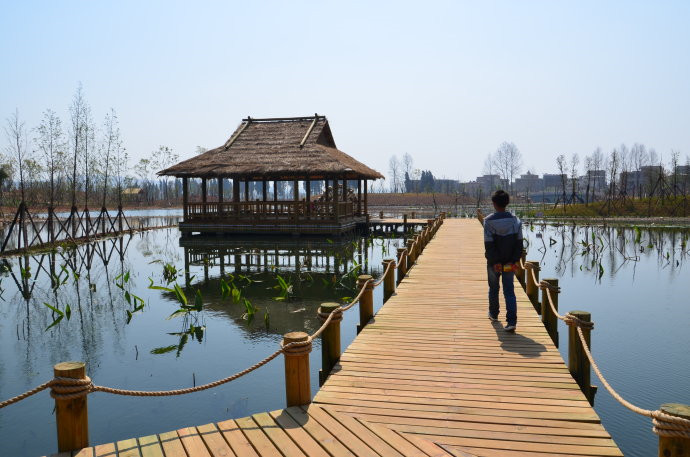 Huilong Wetland Park in Shilin County, Kunming-06
