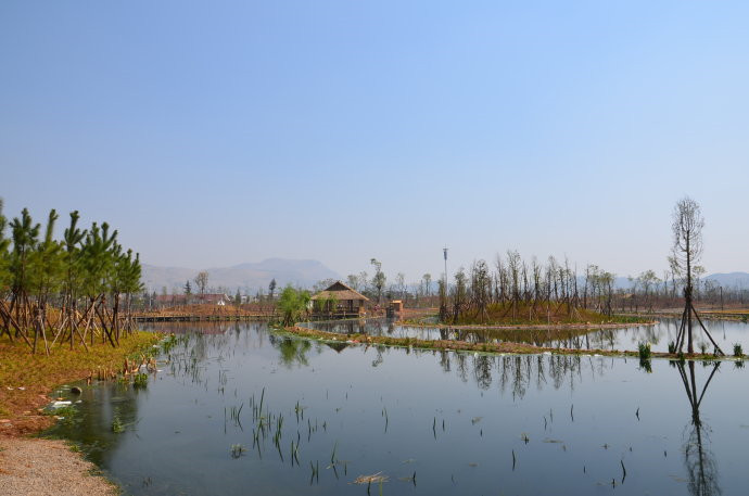 Huilong Wetland Park in Shilin County, Kunming-07